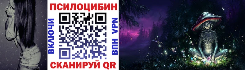 Псилоцибиновые грибы прущие грибы  даркнет сайт  Шенкурск 
