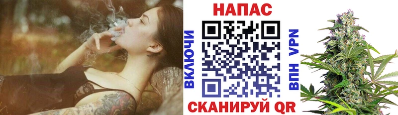 цена наркотик  blacksprut вход  Каннабис план  Шенкурск 